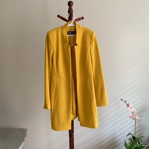 Zara inverted lapel long blazer